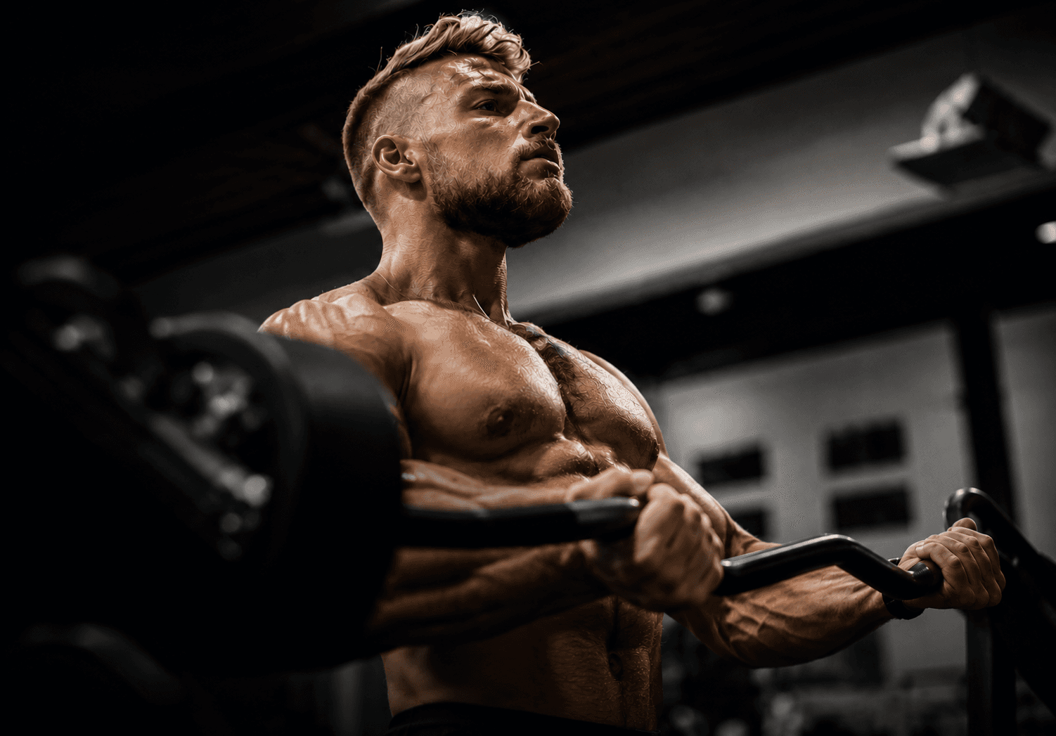 Jungle Strength
